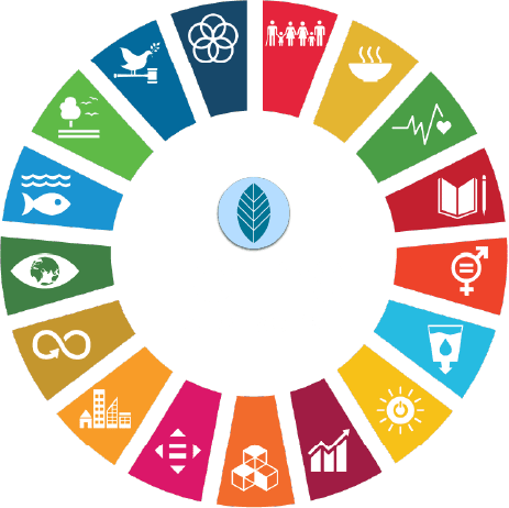 UN Sustainable Development Goals Wheel with LOHAS Advisors Logo