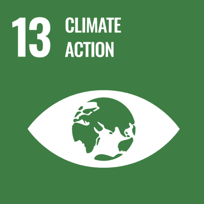UN Sustainable Development Goals - Goal 13 - Climate Action