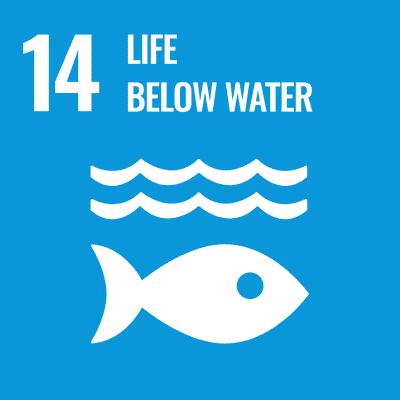UN Sustainable Development Goals - Goal 14 - Life Below Water