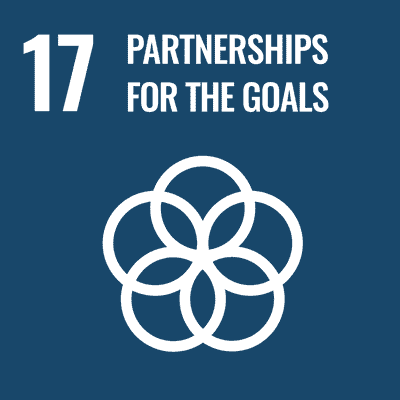 UN Sustainable Development Goals - Goal 17 - Partnerships for the Goals