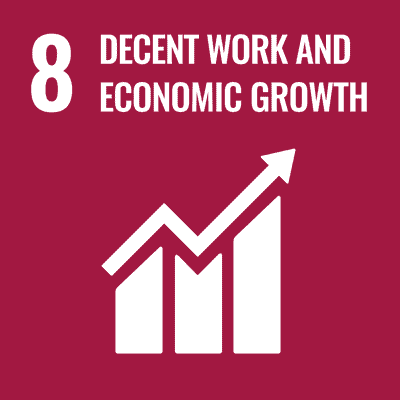 UN Sustainable Development Goals - Goal 8 - Decent Work and Economic Growth